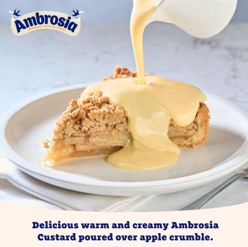 Ambrosia Devon Custard 400g (BB 05/2025)
